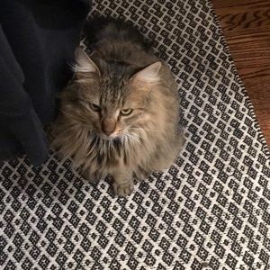 Meet your Posher, Kate